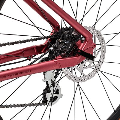 Превью Прогулочный велосипед Велосипед WELT Sienna 2.0 HD (2025)